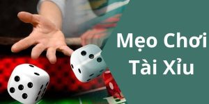 Tài xỉu - Khám phá cá cược xí ngầu thú vị tại nhà cái uy tín